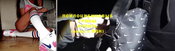 ешки Аркадак