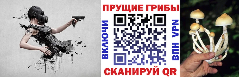 цена наркотик  Дмитров  Псилоцибиновые грибы мухоморы 