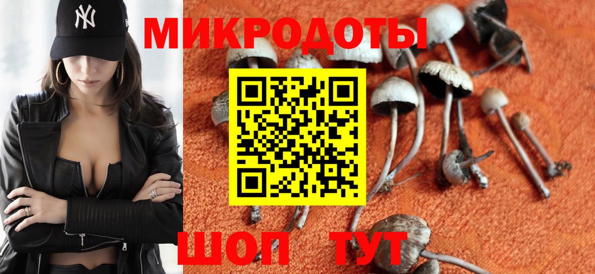 Псилоцибиновые грибы прущие грибы  Вход с VPN  Псилоцибиновые грибы GOLDEN TEACHER  Дмитров 