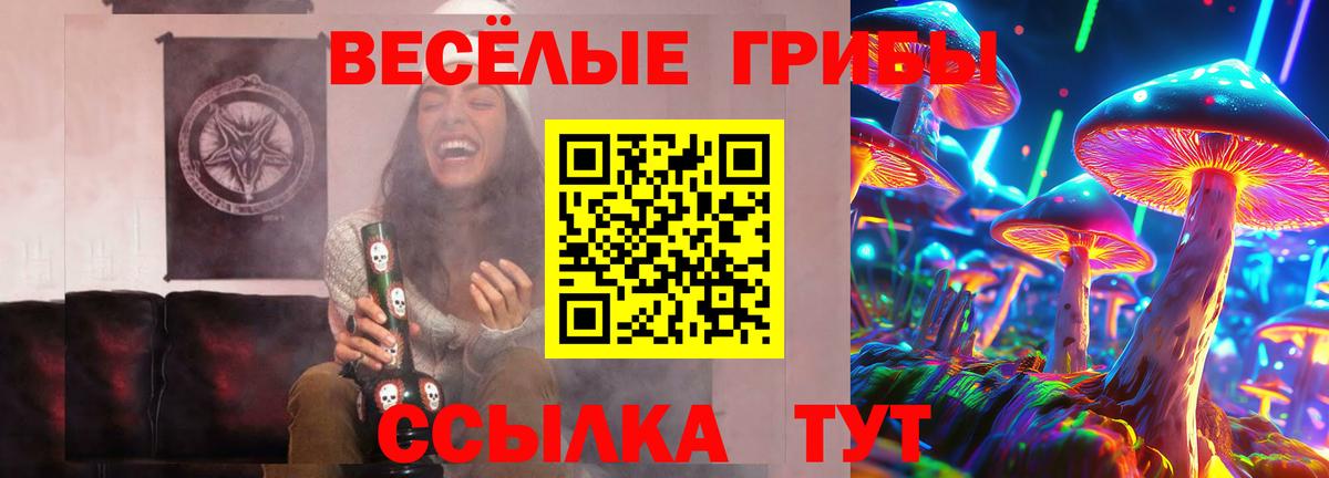 Псилоцибиновые грибы MAGIC MUSHROOMS Дмитров
